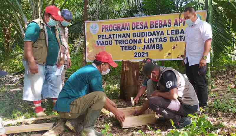 Gerakan Ekonomi Desa Asian Agri Latih Masyarakat Kembangkan Potensi Lebah Trigona