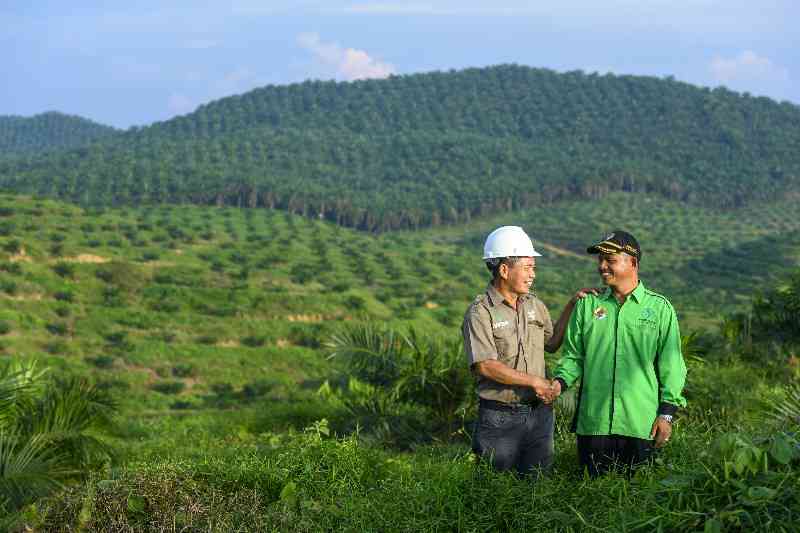 Program Kemitraan Asian Agri Bantu 30.000 Petani Sawit di Indonesia