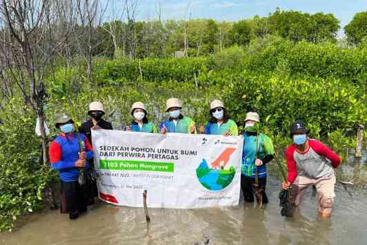 Subholding Gas Pertamina Tanam 1.103 Mangrove di Pesisir Tambakrejo