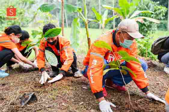 Bisnis Hari Ini: Shopee Tanam 1.500 Bibit Pohon Kopi di Kaki Gunung Gede Pangrango